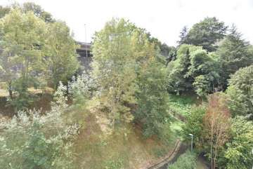 Vistas