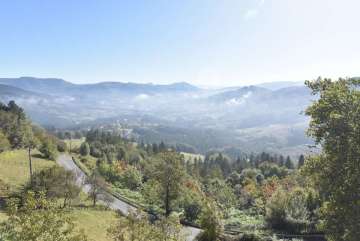 Vistas