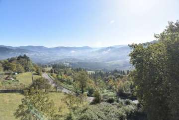 Vistas